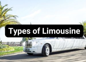 Types of Limousine - Rolls Royce Limousine